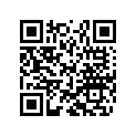 46810511 SHIM 12X30X0,30