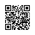 46810640 Shim 12x20x0, 30