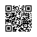 46810641 Shim 12X21X0,30