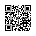 46811580 Shim 12x32x0,10