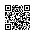 47031020000 FLOAT NEEDLE CPL.