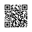 47110-27E60-Y9E