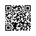 47X-26241-00-00 GRIP (L.H)