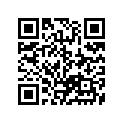 48585-95E00 ORING,PTT