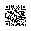 48600061 Shim 8x24x0,40
