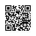 48600063 Shim 6x24x0,10