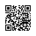 48600065 Shim 6x20x0,10