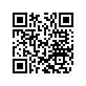 48600102 SHIM 6X24X0,25