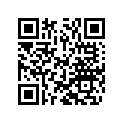 48600216 Shim 8x22x0,10