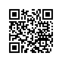 48600325 Shim 6x13x0,10