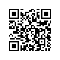 48600329 Shim 6x17x0,10