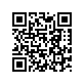 48600332 SHIM 6X21X0,1