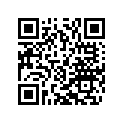 48600380S1 Hydr.stop L=200mm D=31, 9 Cpl.