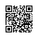 48600437 INNER TUBE D=48 L=595