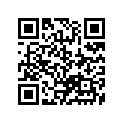 48627-95E00 ORINGSET