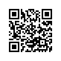 48633-95510 ORING,POWERT