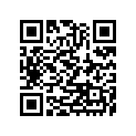 490060071 Boot