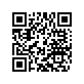 49033031000 STOP DISK 14,3X20X1