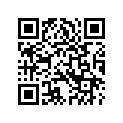 4903604A SUPPORT,PASSENGERFOOTPE