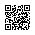 491071128