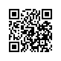 491100011 Governor-assy