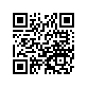 491100014 GOVERNOR-ASSY