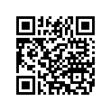 4911877 FOOTPEGSUPPORT