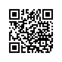 4917067B LEFTREARHIWAYBAR(BLAC