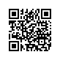 4920704 SADDLEBAGSUPPORT,RIGHT