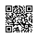 4922406A SUPPORT,PSNGRFTPEG,RH