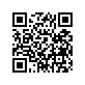 498-18151-03-00 LEVER, CHANGE