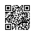 49A-11656-30-00 Вкладыш Шатунный