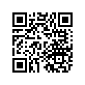 4AN-F1691-00-00 Flap