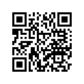 4B5-2474W-01-P0 Поручень Пассажира