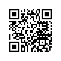 4BP-27261-10-00 Ось Металлическая