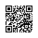 4BR-16155-00-00 ABSORBER 1