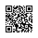 4CW-17653-00-00 SLIDER