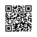 4DS-14141-34-00 Распылитель главный