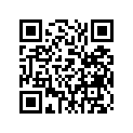 4DS-14933-00-00 Пружина диафрагмы