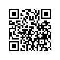4FM-25381-00-00