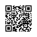4G0-11133-11-00 Втулка Направляющая