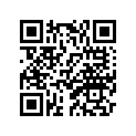 4G0-81847-00-00 O-RING