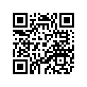 4GG-27211-00-00 ペダル,ブレーキ
