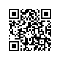 4KM-11638-00-00