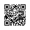 4MX-14943-49-00 . Jet, Main (210) AP