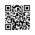 4NK-11193-00-00 Прокладка крышки ГБЦ