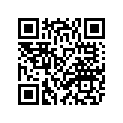 4NK-21621-00-P9 FLAP