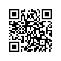 4RT-F3411-00-00 Race, Ball 1