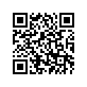 4SV-11416-31-00