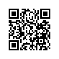 4V4-16380-00-00 PUSH LEVER ASY